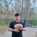 ���������� �����-���������, ���� ������� �������, 49 ���, ������������ 