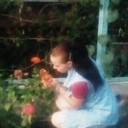 ���������� ��������, ���� ������� �������, 28 ���, ������������ ��� ������, ����� � ���������, c�������� ���������