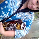 ���������� ������, ���� ������� �����, 34 ����, ������������ 