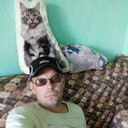 ���������� �����, ���� ������� ���������, 43 ����, ������������ ��� ����� � ���������, c�������� ���������