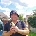 ���������� ������, ���� ������� Den, 55 ���, ������������ ��� ������, ����� � ���������, c�������� ���������