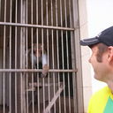 ���������� �������, ���� ������� ������, 46 ���, ������������ 