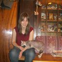 ���������� ������, ���� ������� ��������, 29 ���, ������������ ��� ������, ����� � ���������, c�������� ���������