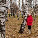 ���������� �����, ���� ������� �������, 72 ����, ������������ 