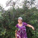 ���������� ���������, ���� ������� �����, 51 ���, ������������ ��� ������, ����� � ���������