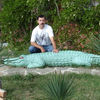  ,   , 56 ,   ,   , c 