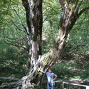 ���������� ����������, ���� ������� ������, 59 ���, ������������ ��� ������, ����� � ���������, c�������� ���������