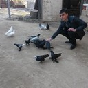 ���������� ����, ���� ������� Cahangir, 37 ���, ������������ ��� ������, ����� � ���������, c�������� ���������