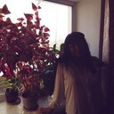 ���������� �����, ���� ������� ������, 58 ���, ������������ ��� ������, ����� � ���������