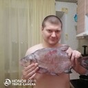 ���������� ������, ���� ������� ������, 43 ����, ������������ ��� ������, ���������