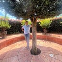  ,   , 57 ,   ,   , c , 
