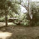  ,   Falcon 27, 40 ,   ,   , c , 