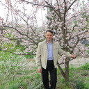 ���������� ����, ���� ������� ���������, 52 ����, ������������ ��� ����� � ���������, c�������� ���������