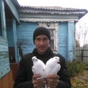 ���������� �����������, ���� ������� �������, 38 ���, ������������ ��� ������, ����� � ���������, c�������� ���������