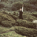 ���������� ������, ���� ����� Madyar, 3 ����, ������������ ��� ������, ����� � ���������