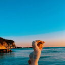 ���������� ������, ���� ������� ������, 59 ���, ������������ ��� ������, ����� � ���������, c�������� ���������, ���������