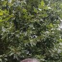  ,   , 46 ,  