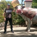 ���������� ��������, ���� ������� ���������, 40 ���, ������������ ��� ������, ����� � ���������, c�������� ���������