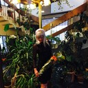 ���������� ������, ���� ������� ������, 40 ���, ������������ ��� ������, ����� � ���������, c�������� ���������