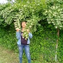 ���������� �������, ���� ������� ������, 53 ����, ������������ ��� c�������� ���������