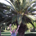 ���������� �����-���������, ���� ������� ������, 56 ���, ������������ ��� ������