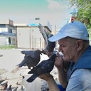 ���������� �������, ���� ������� ����, 50 ���, ������������ ��� ������, ����� � ���������, c�������� ���������, ���������