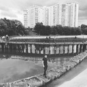  ,   , 31 ,     , c , 