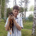 ���������� �����-���������, ���� ������� �����, 48 ���, ������������ ��� c�������� ���������, ���������