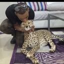 ���������� ������, ���� ������� ������, 33 ����, ������������ ��� ������, ����� � ���������