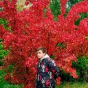 ���������� �����, ���� ����� Andrey, 25 ���, ������������ ��� ������, ����� � ���������