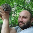 ���������� ������, ���� ������� ����, 38 ���, ������������ ��� ������, ����� � ���������