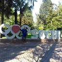  ,   Zika, 60 ,  