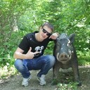 ���������� �����������, ���� ������� ���������, 40 ���, ������������ ��� ������