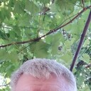 ���������� ���������, ���� ������� ������, 56 ���, ������������ ��� c�������� ���������