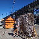 ���������� �������, ���� ������� ������, 31 ���, ������������ ��� ������, ����� � ���������, c�������� ���������