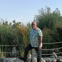  --,   , 52 ,   ,   