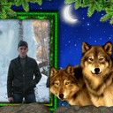 ���������� ��������, ���� ������� ��������, 38 ���, ������������ ��� ������, ����� � ���������, c�������� ���������