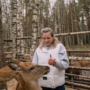 ���������� ���������, ���� ������� �����, 47 ���, ������������ ��� ������, ���������