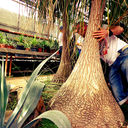 ���������� �������, ���� ������� RoMa, 39 ���, ������������ ��� ������, ����� � ���������, c�������� ���������