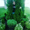 ���������� �������, ���� ������� �������, 43 ����, ������������ ��� ������, ����� � ���������, c�������� ���������