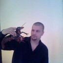 ���������� ������-��-����, ���� ������� ����������, 41 ���, ������������ ��� ������, ����� � ���������, c�������� ���������, ���������