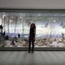 ���������� ������, ���� ������� ������, 49 ���, ������������ 