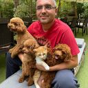 ���������� ������, ���� ������� �����, 53 ����, ������������ ��� ����� � ���������, c�������� ���������