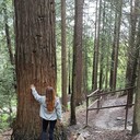 ���������� ������, ���� ������� �����, 27 ���, ������������ ��� ���������