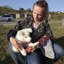 ���������� �����������, ���� ������� ������, 24 ����, ������������ ��� ���������