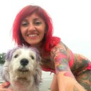 ���������� �����, ���� ������� ����, 43 ����, ������������ ��� c�������� ���������