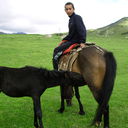  ,   Baki, 51 ,     , c 