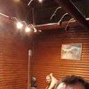 ���������� ������������, ���� ������� �����, 46 ���, ������������ ��� ������, ����� � ���������