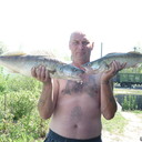  ,   , 58 ,   