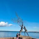 ���������� ������� ����, ���� ������� �����, 52 ����, ������������ ��� ����� � ���������, c�������� ���������